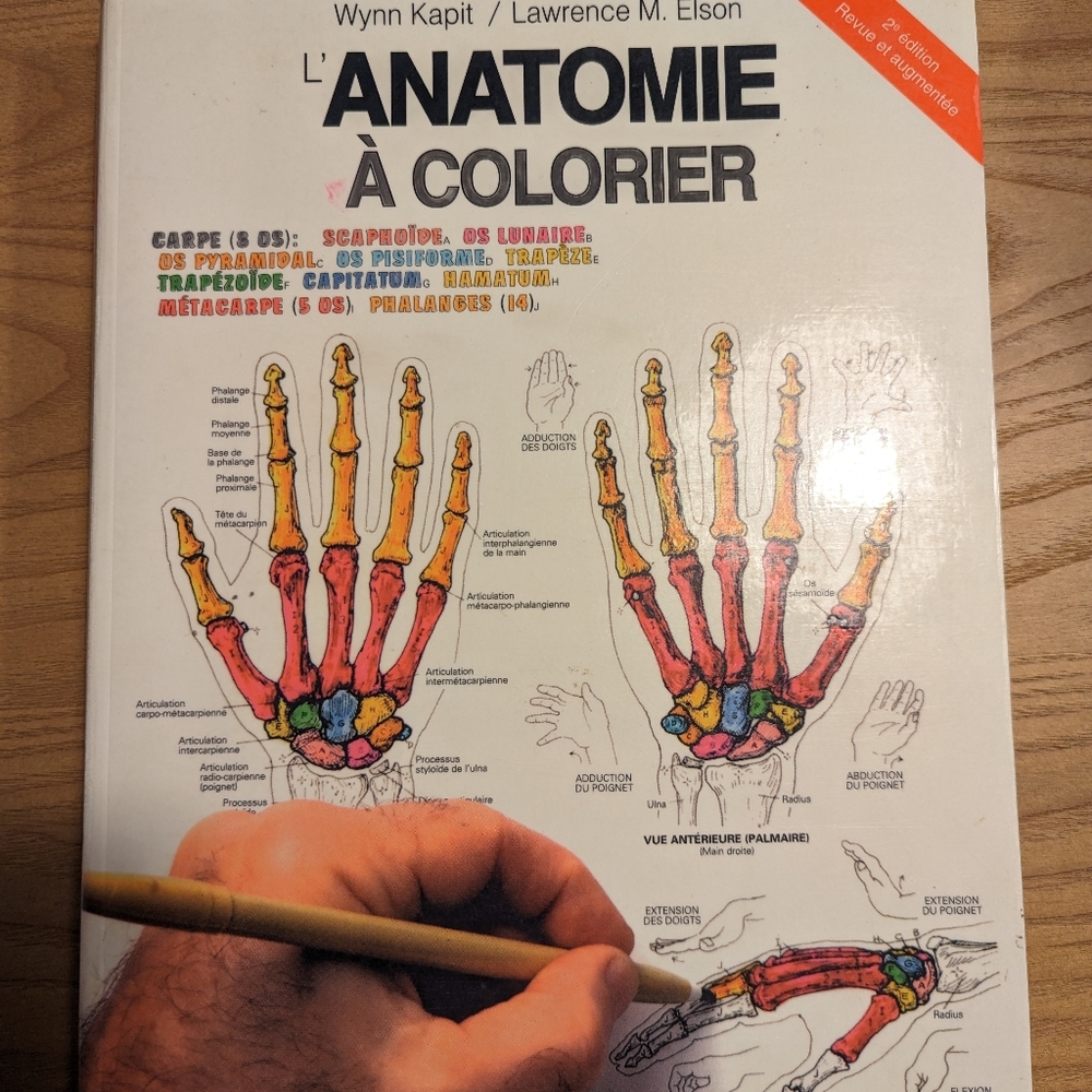 Anatomie à colorier 2ieme édition Kapit & Elson